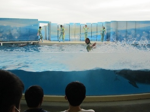 えのすい - 19.jpg