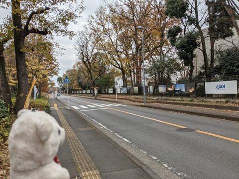 おかえり1.jpg