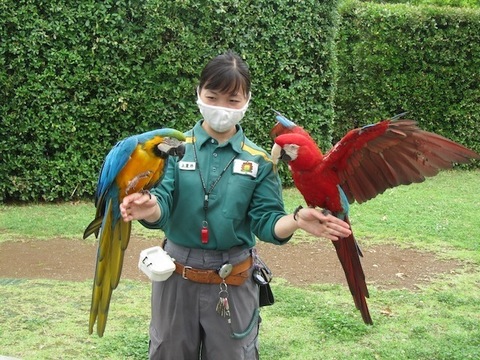 ズーラシアツイッター - 12.jpeg