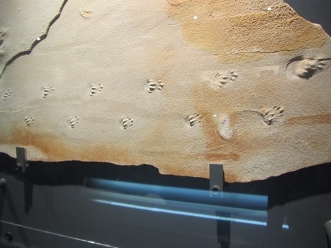 GoToK - 114.jpg