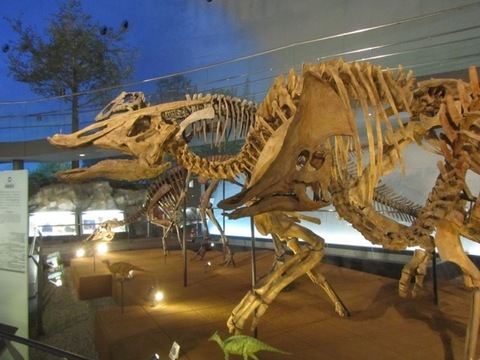 GoToK - 120.jpg