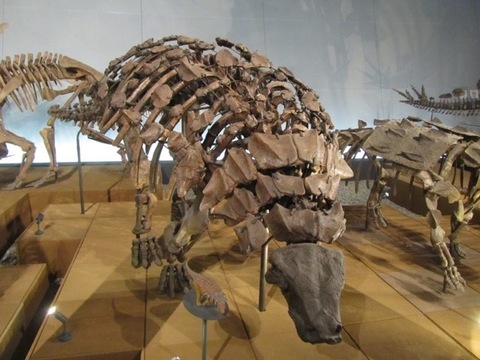 GoToK - 122.jpg