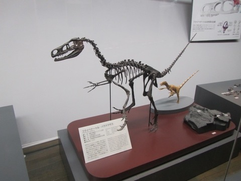 GoToK - 123.jpg