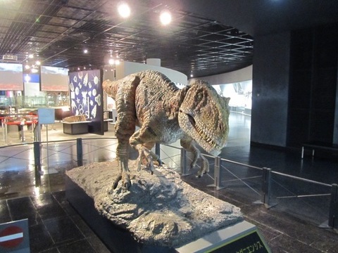 GoToK - 124.jpg