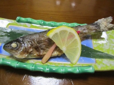 GoToK - 23.jpg