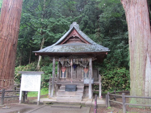 イメージ 9