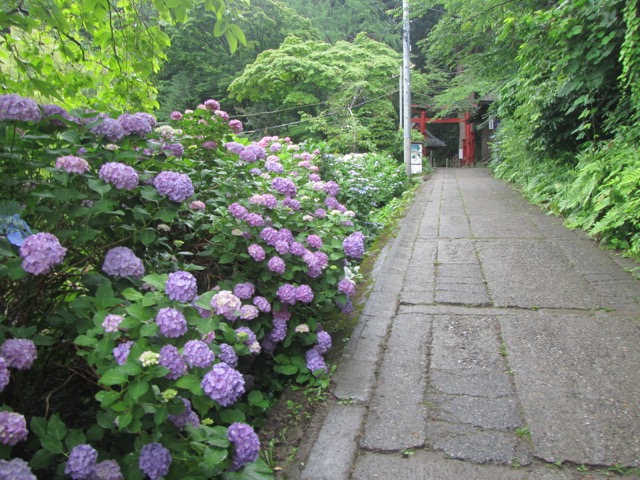 イメージ 10