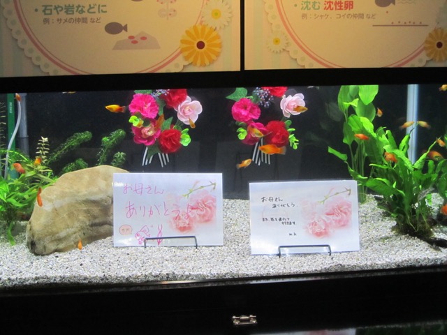 イメージ 9