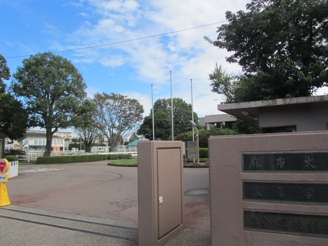 イメージ 2