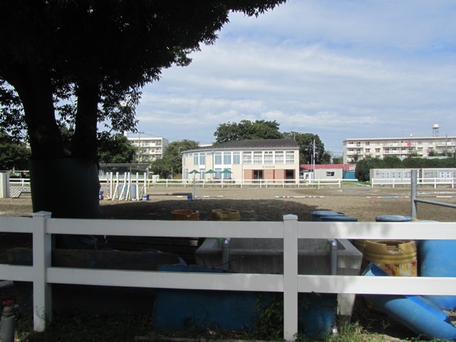 イメージ 3