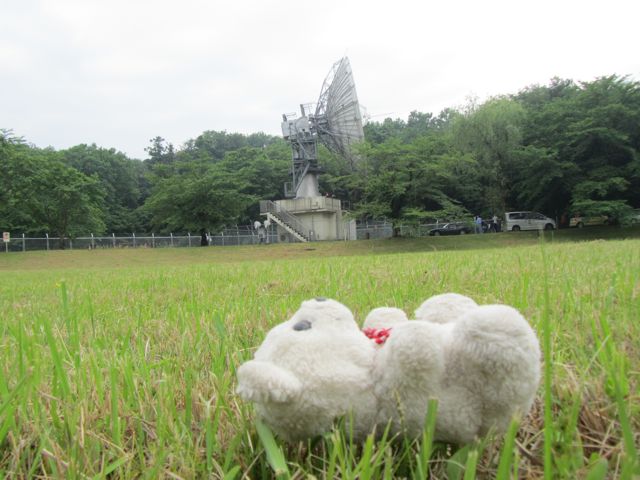 イメージ 11