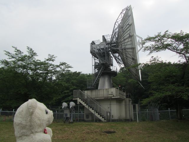 イメージ 10