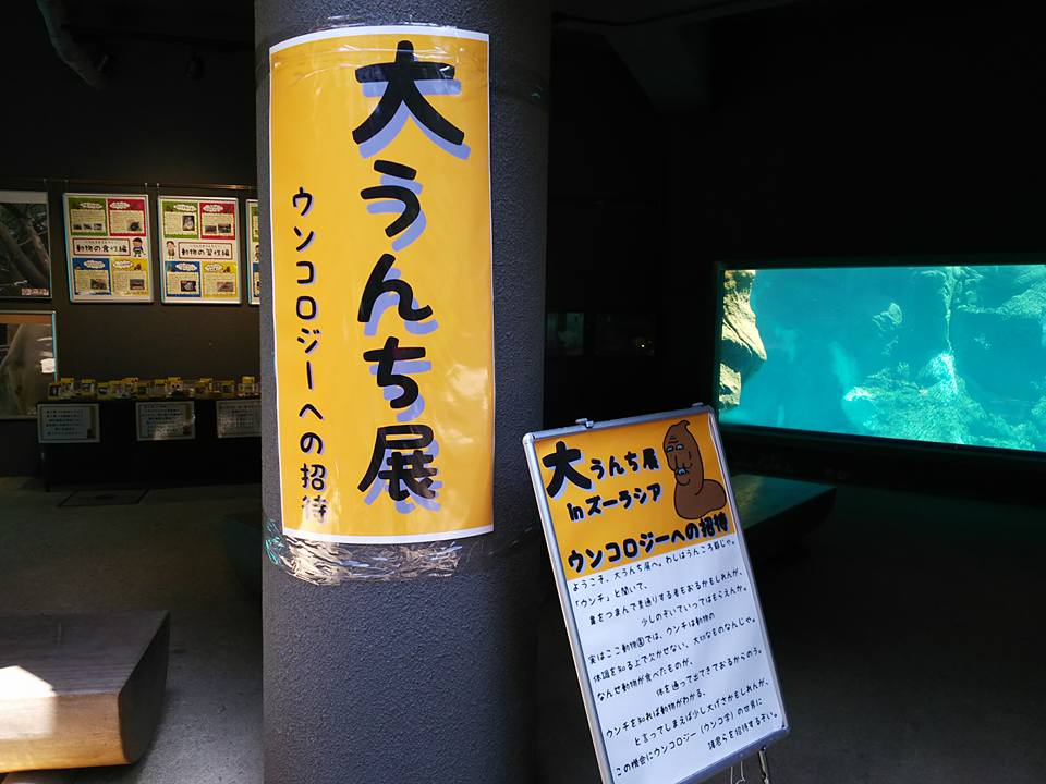 イメージ 6