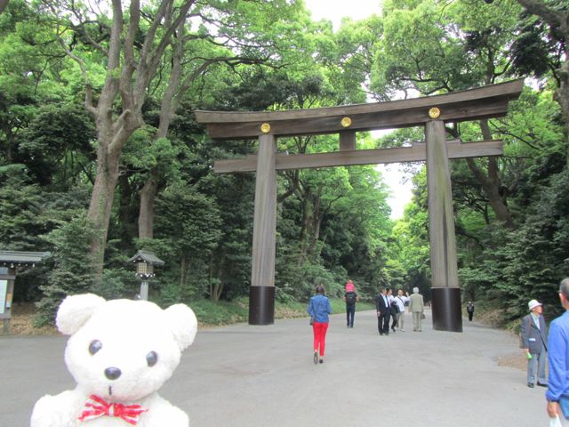 イメージ 1