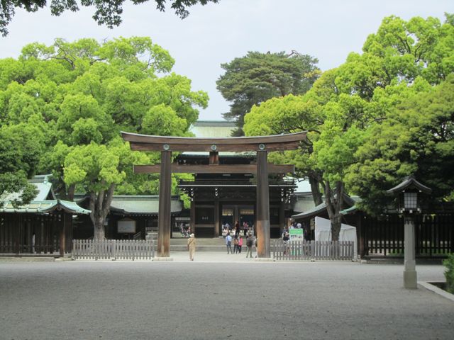 イメージ 6