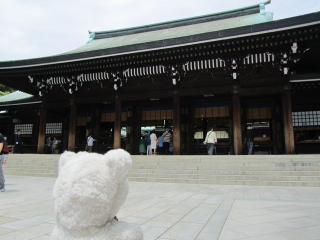 イメージ 8