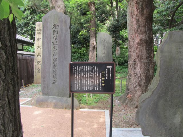 イメージ 5