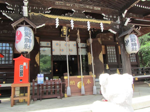イメージ 9