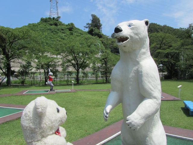 イメージ 5