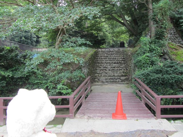 イメージ 6