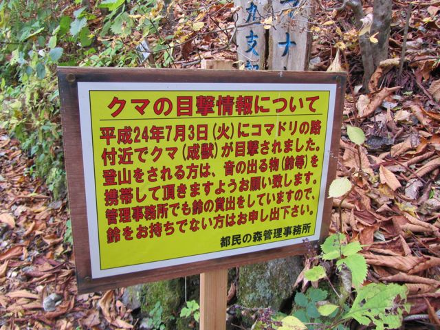 イメージ 7