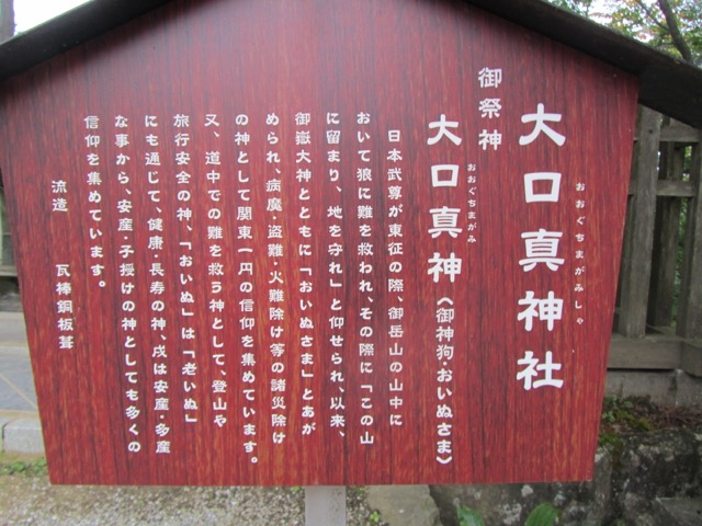 イメージ 12