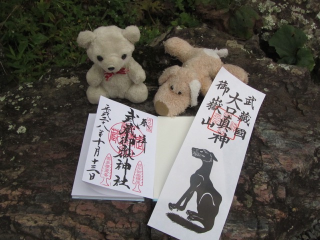 イメージ 13