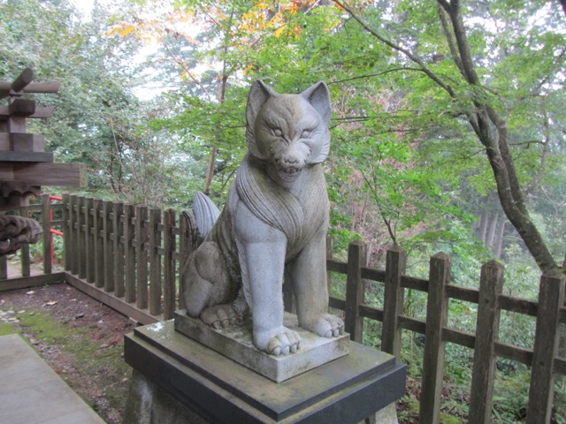 イメージ 8