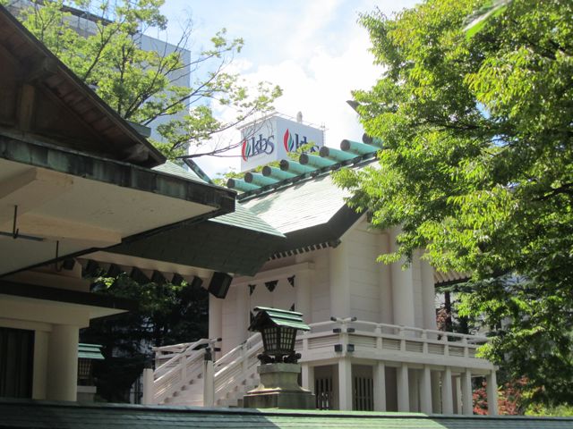 イメージ 14
