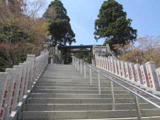 イメージ 6