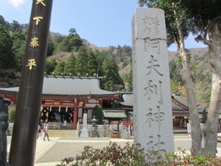 イメージ 7